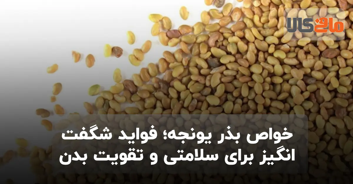 بذر یونجه چه خاصیتی دارد