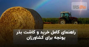 بذر یونجه برای کشاورزی