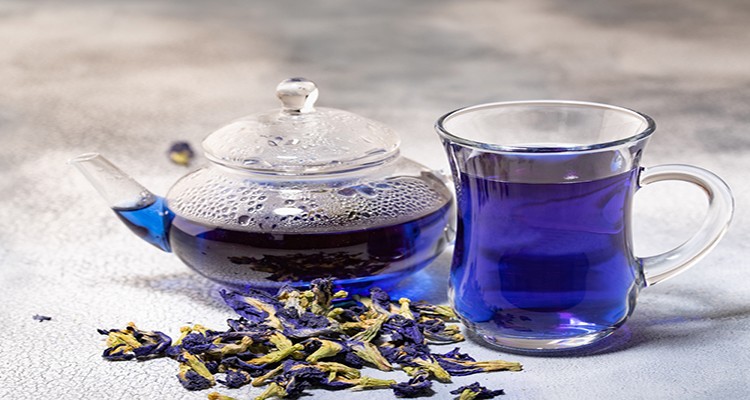 گل گاو زبان